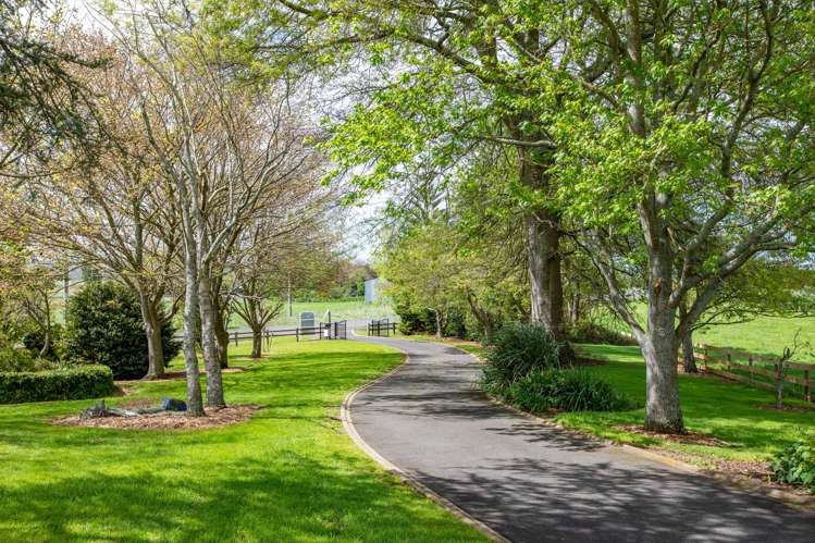 69 Waverley Road Gordonton_28