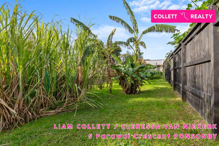 5 Parawai Crescent Ponsonby_20