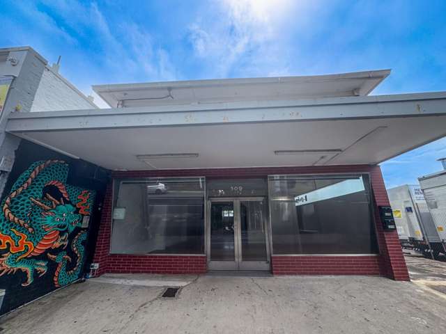 309 Dominion Road Mount Eden_1