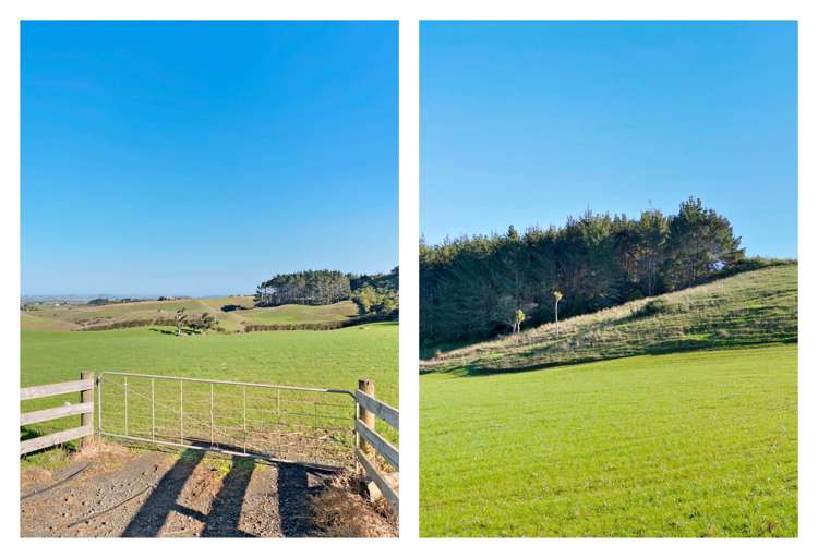 318 Settlement Road Pukekohe_6