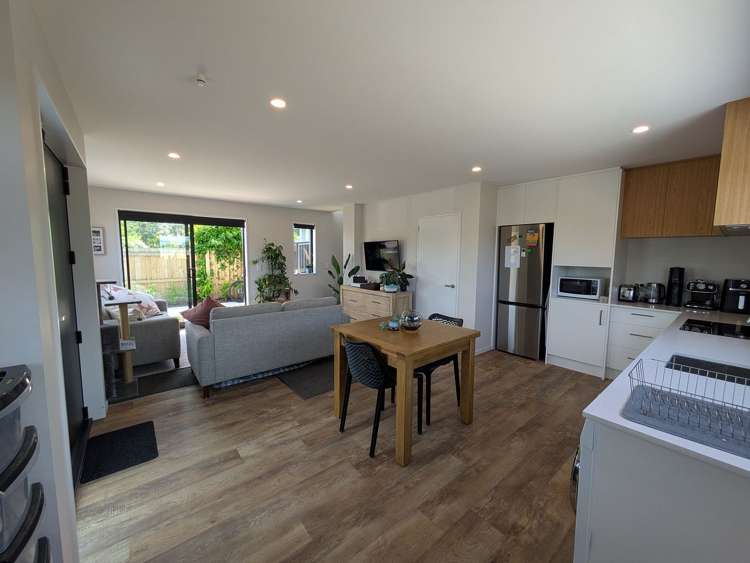 35a Wembley Street Sydenham_5