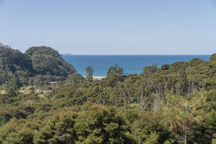 Lot 7, 104 Taiwawe Lane Hot Water Beach_17