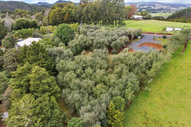 55 Lauries Drive Kauri_33