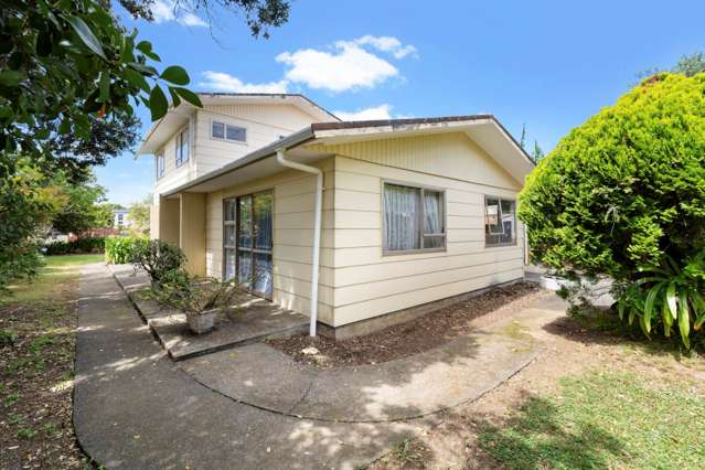 107 Raglan Street Mangere East_2