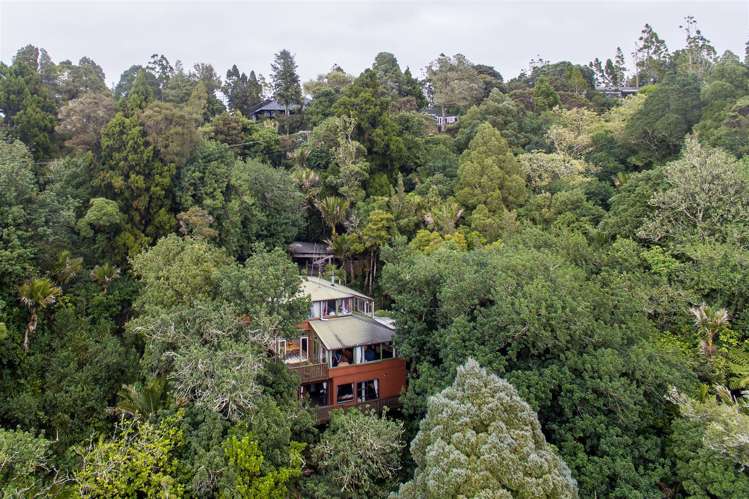 40 Tanekaha Road Titirangi_25