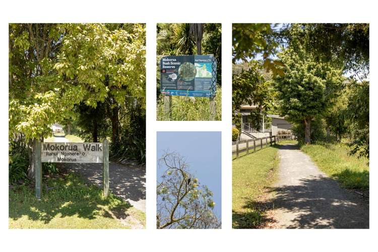 23 White Horse Drive Whakatane_29