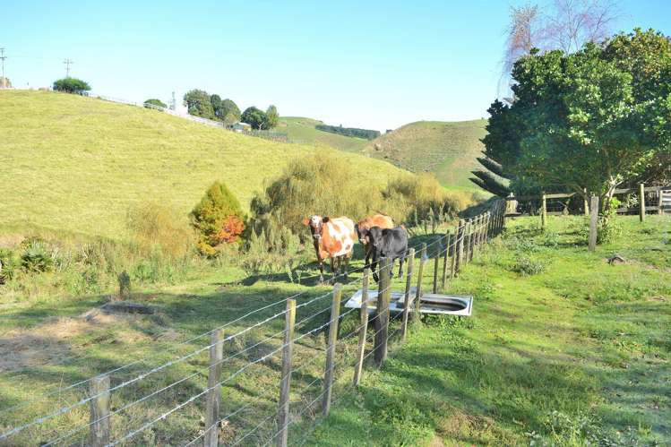 574 Kaitemako Road Welcome Bay_22