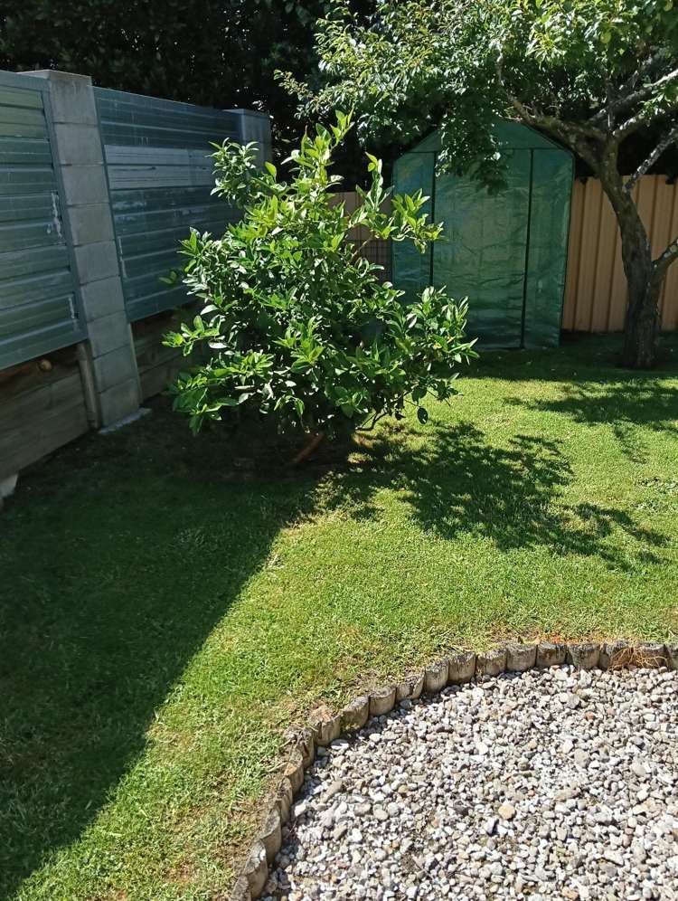 6a Terrace Avenue Mount Maunganui_14