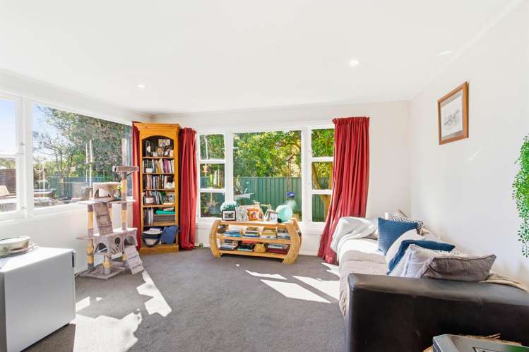 872 Harington Point Road Harington Point_15