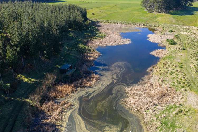 725 Raumai Road Bulls_7