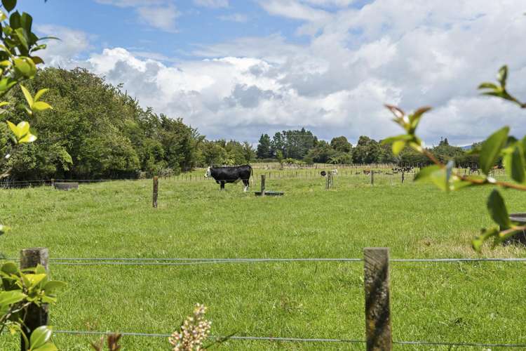 49 Lepper Road Upper Inglewood_24