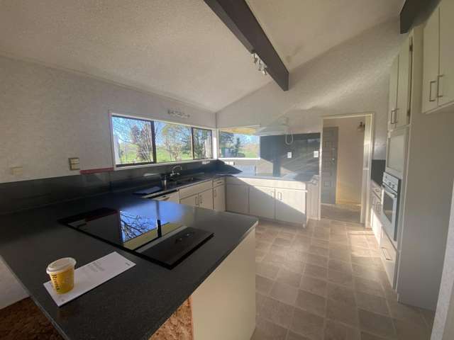 682 Hutchinson Road Morrinsville_1