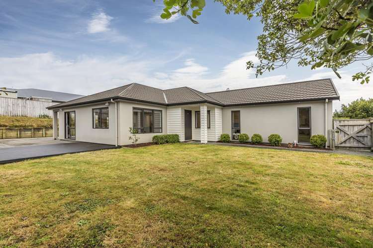 3 Nelson Avenue Aotea_21