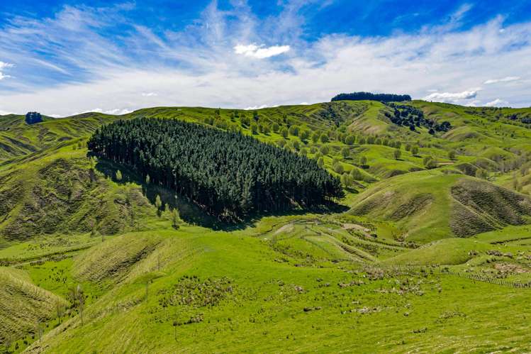 683 Bush Road Wallingford_36