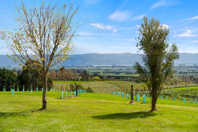 121 Southdown Drive Martinborough_4