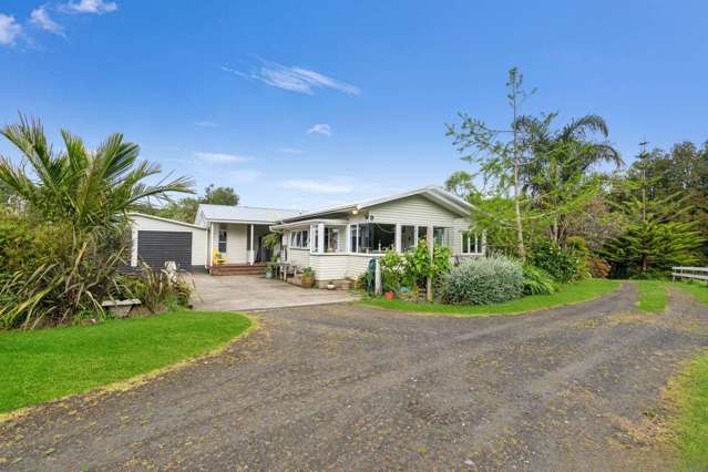 Your 1.6 ha Kauri Coast Oasis!
