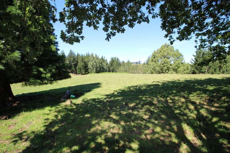 Homestead Road Weston_6