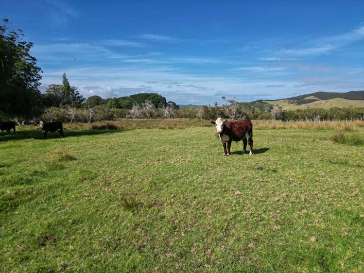 215 Kempthorne Road Russell_19