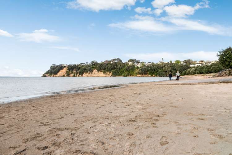 43b Kauri Road Stanmore Bay_24