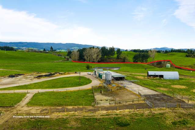 332 Springs Road Reporoa_2