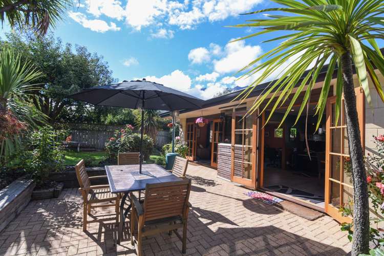 41 Elm Tree Avenue Frankton_13