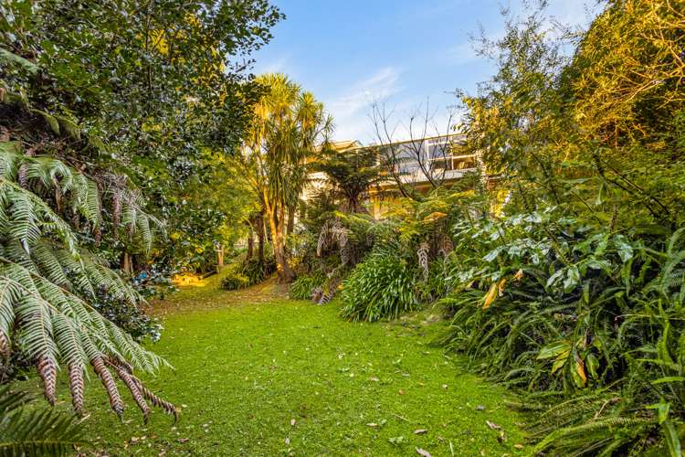 46 Maclaurin Street Blockhouse Bay_30