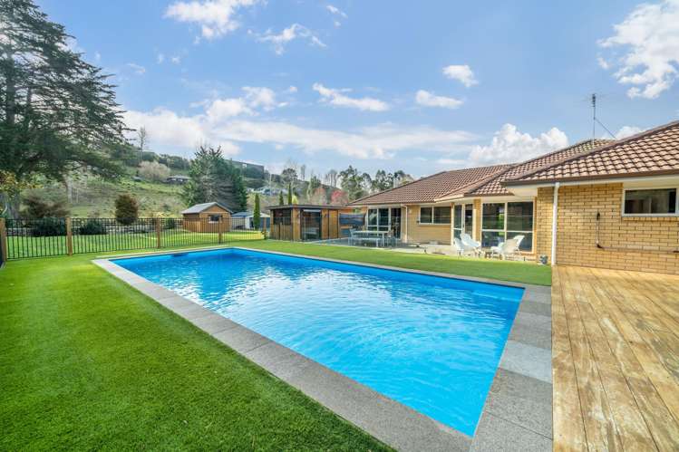 101 Emerald Hill Drive Birchville_14