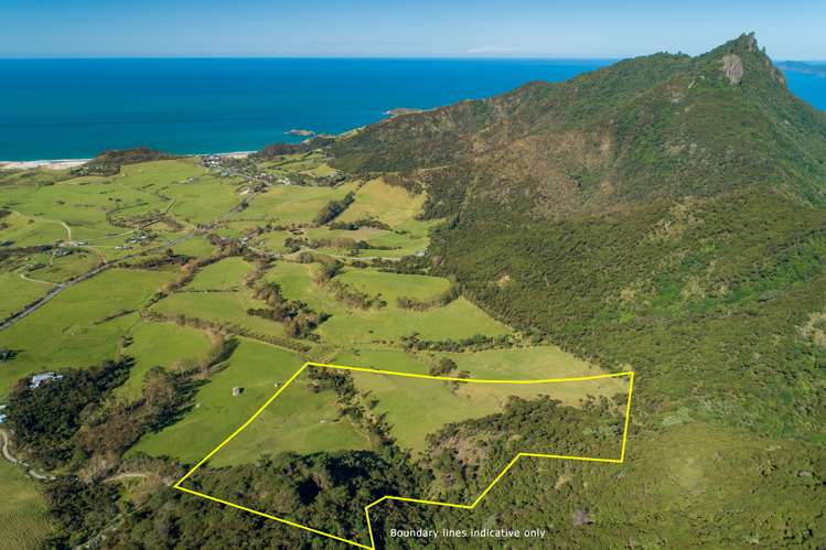 196b Ocean Beach Road Whangarei Heads_4