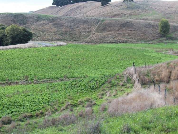 78 Bush Road Central Hawkes Bay Country_18