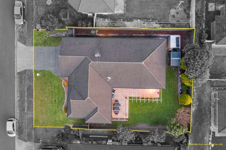 56 Highfields Terrace Henderson_13