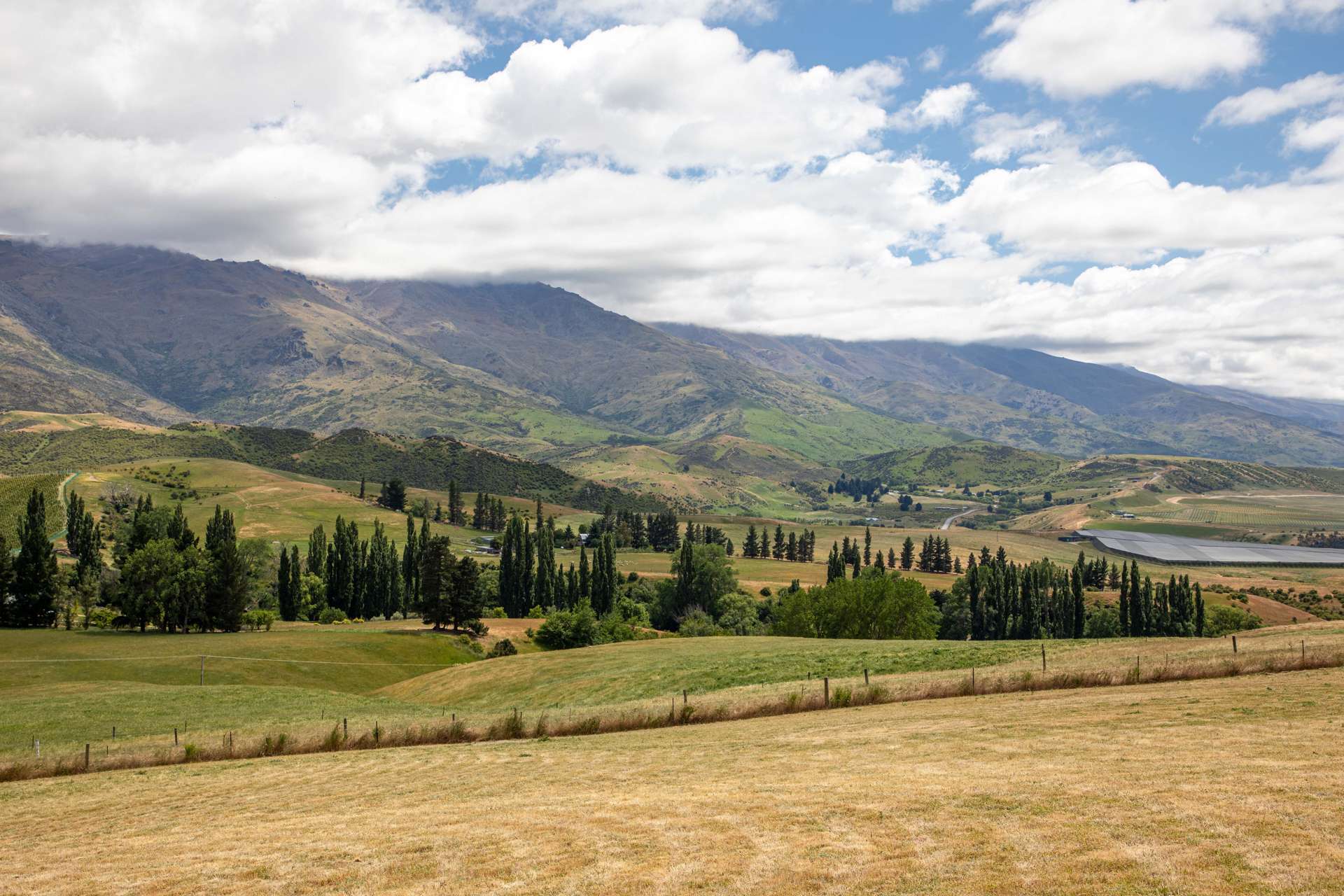 259A Heaney Road Cromwell_0