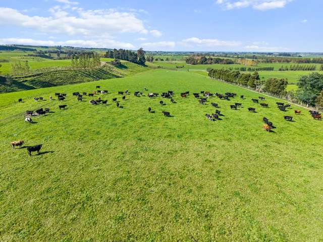 243 Matthew Road Temuka_3