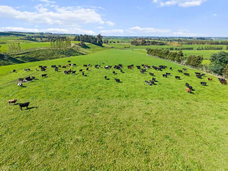 243 Matthew Road Temuka_3