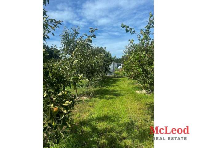 1742 Grahams Road Eiffelton_3