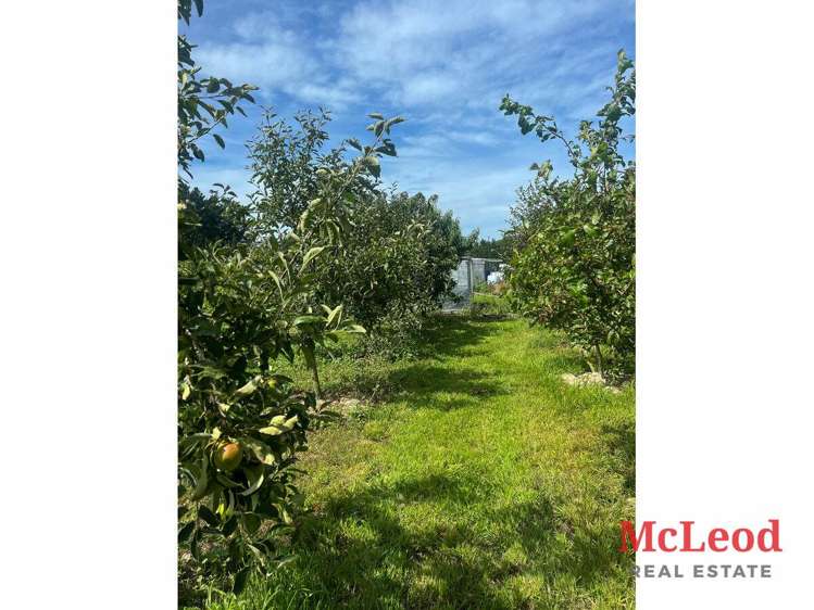 1742 Grahams Road Eiffelton_3