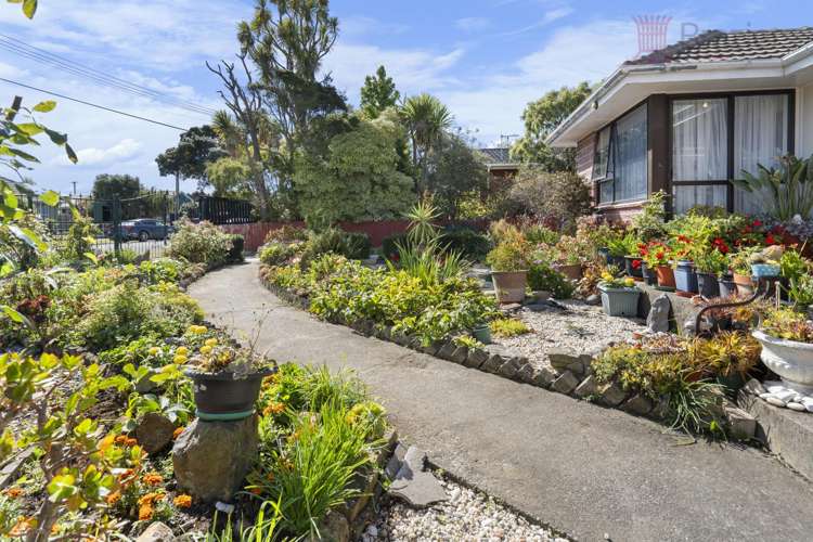 26 Nicholas Drive Linwood_17