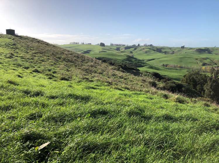 57 Earle Road Pukeatua_5