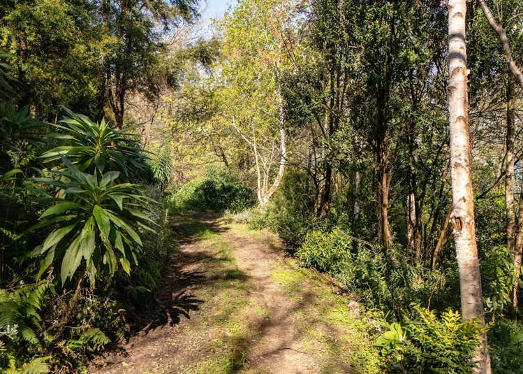 5 Monarch Drive Robinsons Bay_15