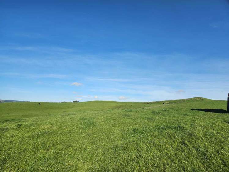 899 Te Akau Road Te Akau_6