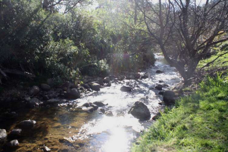 32 Waiomu Valley Road Waiomu_17