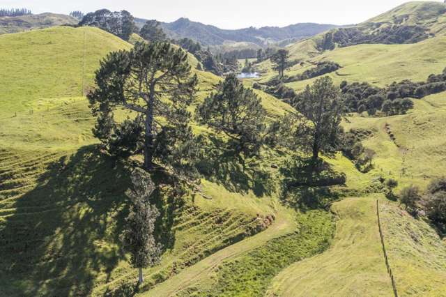 309c Wentworth Valley Road Whangamata_4