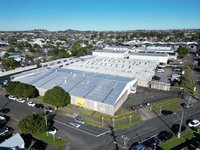 11 McDonald Street Morningside_3