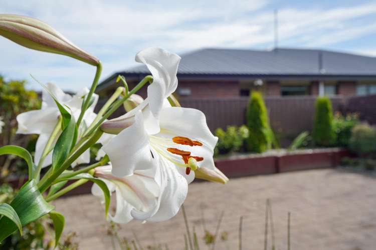 15 Terrace Street Rosedale_27