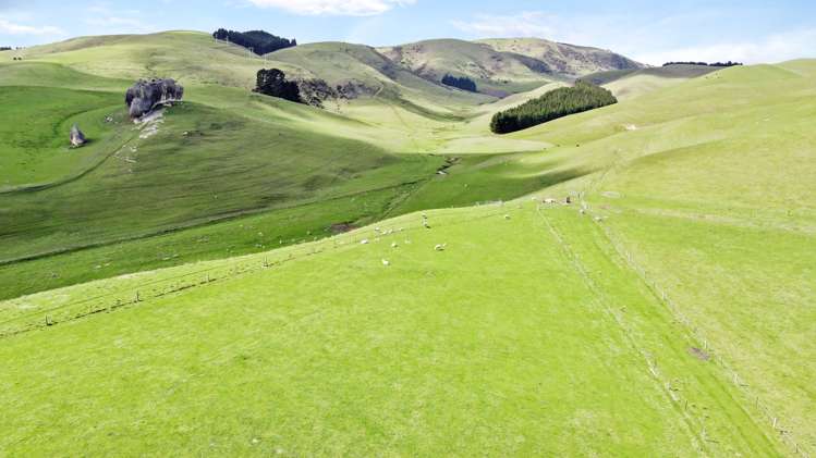 35 Andrew Street Allenton_4