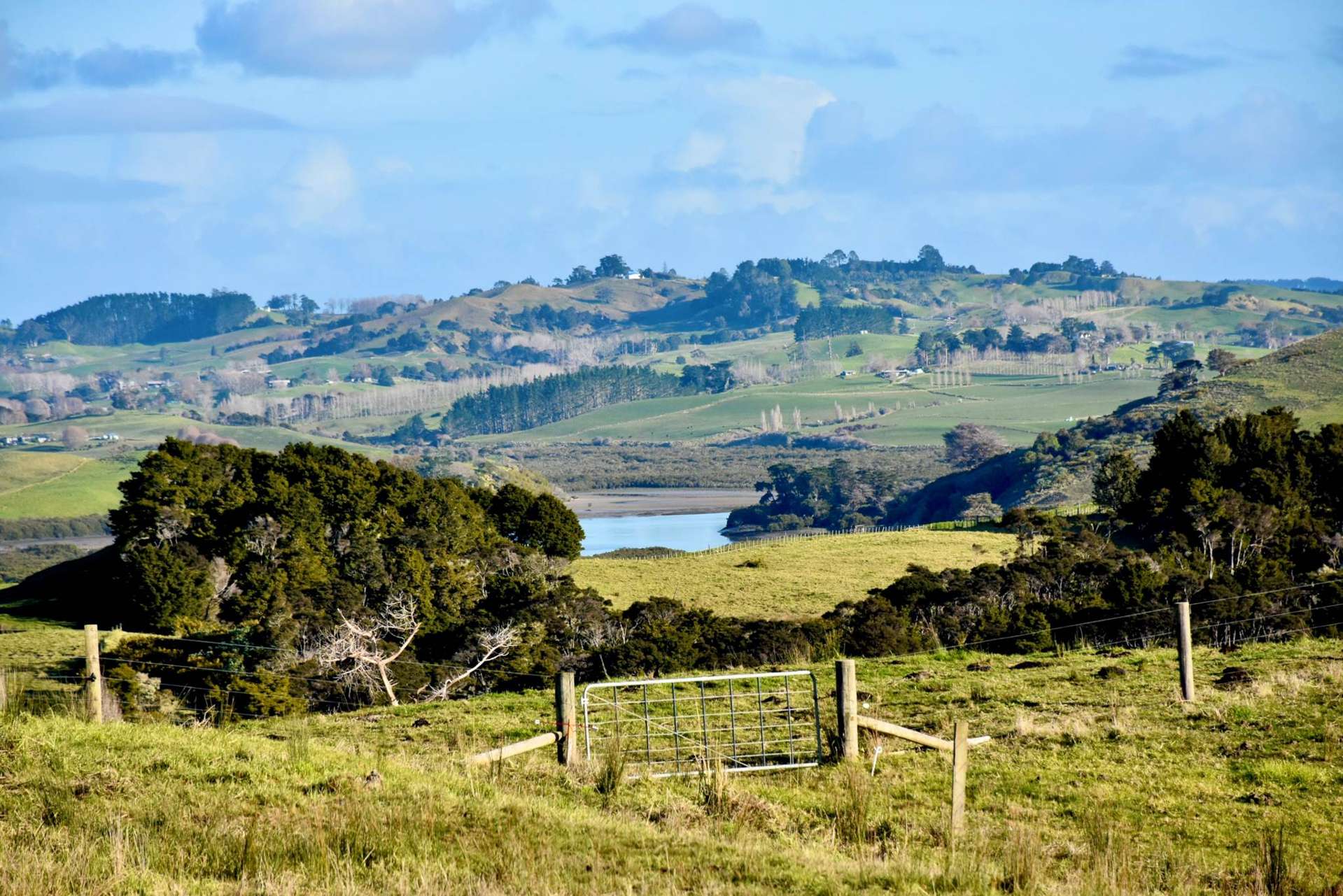 54 Syd Smith Road Oruawharo_0