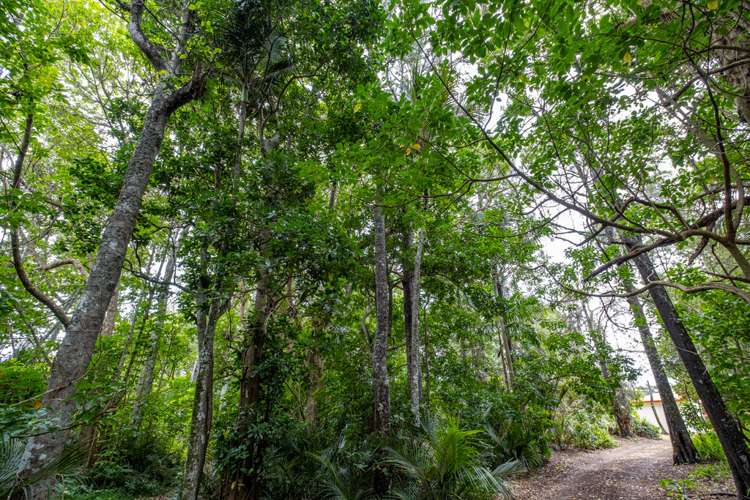 514 Gill Road Kaitaia_18