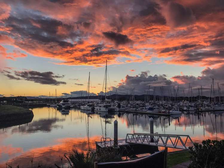 20 Finch Street One Tree Point_7