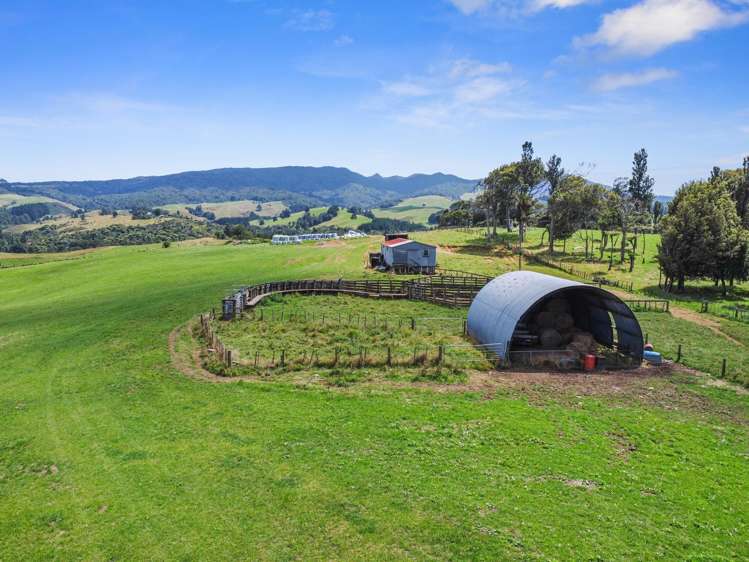 870 Mangati Road Pirongia_27