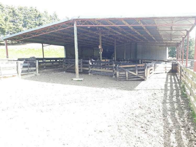 144 Tokarahi-Duntroon Road Five Forks and Surrounds_8