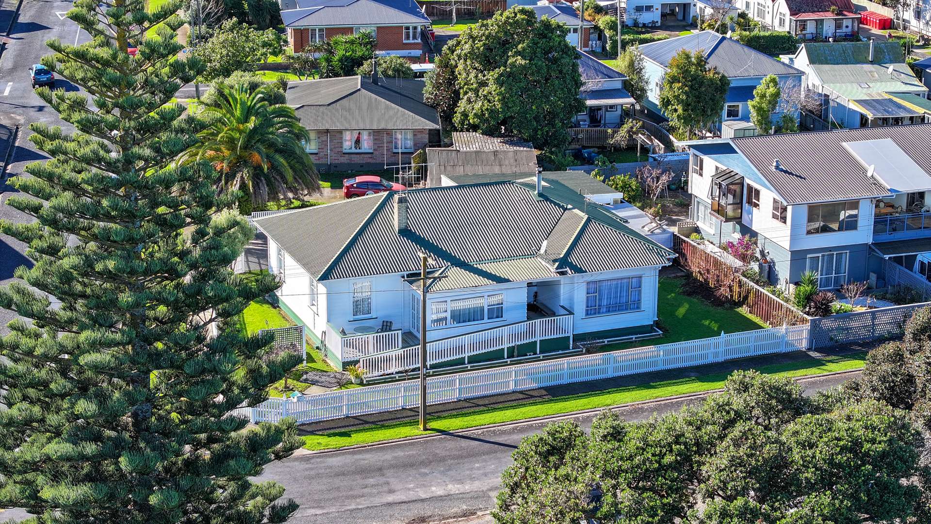 314 Brown Street Thames_0